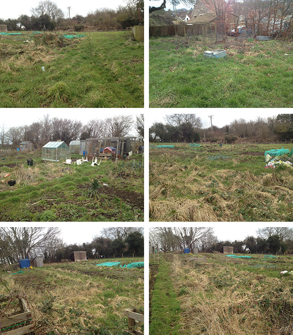 Pensford allotments
